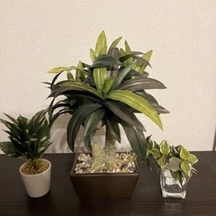 人工観葉植物