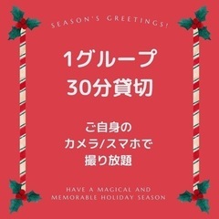 ワンちゃんのクリスマス無料撮影会の画像