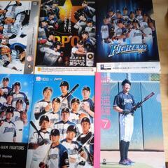 北海道日本ハムファイターズ　クリアファイルの画像