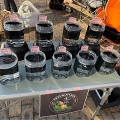 メダカすくいあります！11/27（土）鶴巻温泉駅前朝市！