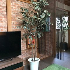 人工観葉植物 フィカス 175cm 大型 造花