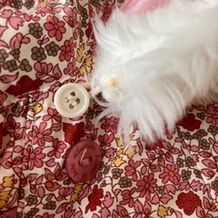 BeBe カバーオール(ジャンプスーツ) 花柄ピンクの画像