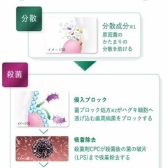 ☆新品　GUM デンタルリンス2本☆の画像