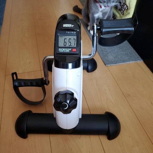 ダイエット器具ミニサイクロン