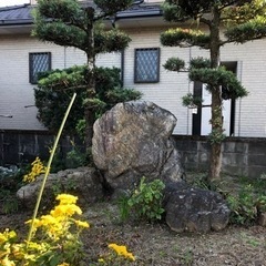庭石差し上げます！