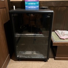 ただ0円！