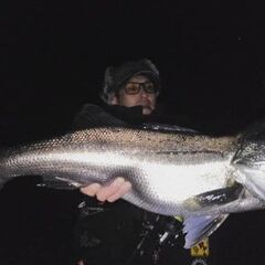 プロトルアー、フィールドテストを手伝って頂けるルアーアングラーを探しています。 − 和歌山県