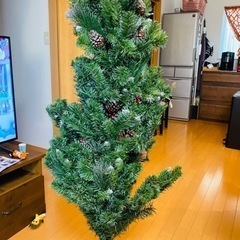 クリスマスツリー