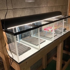 【水槽】45cm水槽　4連の画像