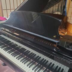 なんのどんなものでもピアノ伴奏いたします☺️