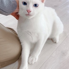 6ヶ月の男の子