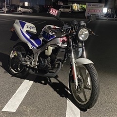 ns1