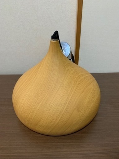ラップホヤ(ニトリ)