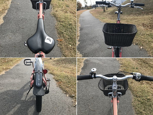 《値下げ！》【新品パーツ多数❕】LGS-MV1　/　LOUIS GARNEAU - ルイガノ【整備済み】