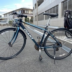GIANT escape XS 本日中