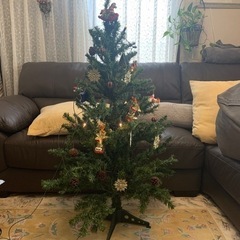 クリスマスツリー　