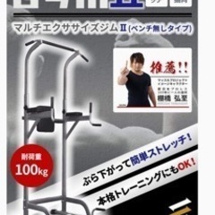 ぶら下がり健康器(マルチエクササイズジムⅡ)の画像