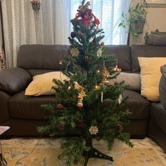 クリスマスツリー