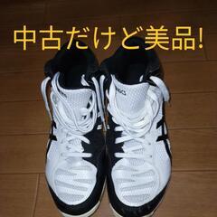 《最終値下げ》【超美品】バレーボールシューズ26.0cm
