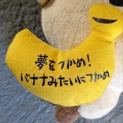 (内定)【おまけ】おさるのぬいぐるみの画像
