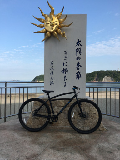 エレクトラ29インチ