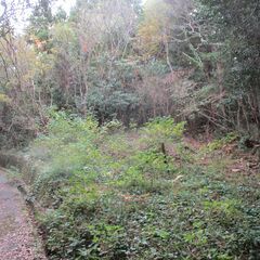売土地564志摩市磯部町下之郷200万円人家がなし。炭焼き小屋や大工小屋にいかがですかNEW - 土地販売/土地売買