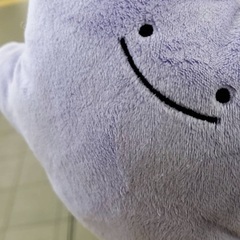 12月から一緒に走ってくれる人募集🌈