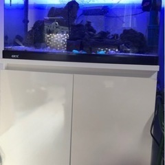 水槽と水槽台をセットで差し上げます