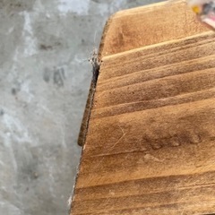 2×4材 DIY の画像