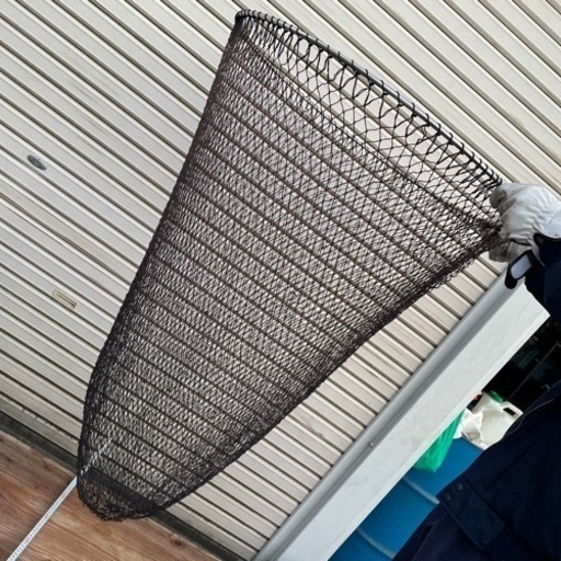 鯉　青　タモ網