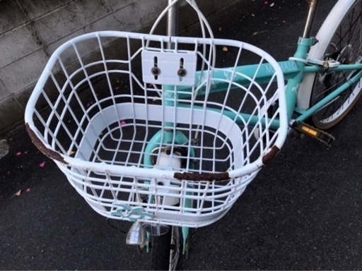 ハワイアン柄22インチ自転車
