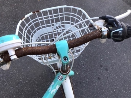 ハワイアン柄22インチ自転車