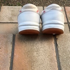 converse 24.5㎝の画像