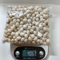 銀杏 殻付ぎんなん 400㌘ 銀杏パン 銀杏ご飯 茶碗蒸し