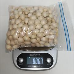 ぎんなん800㌘　茶碗蒸しに　一粒1.6〜1.9㌘の画像