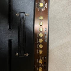 LINE6 Flextone Ⅲ