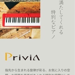 CASIO Privia pxs1000RD