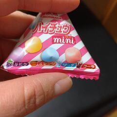 ﾊｲﾁｭｳ　ﾐﾆの画像