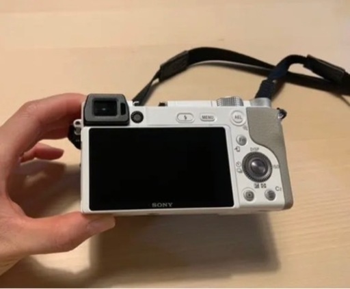 ソニー　デジタル一眼　a6100(sony)+samsung sdカード