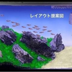 水槽レイアウト案をご提案します！