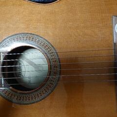 クラシックギター Höfner HZ27の画像