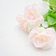 ヒーリング個人セッション