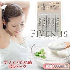 ◼️未開封 ケフィアヨーグルト 5包 