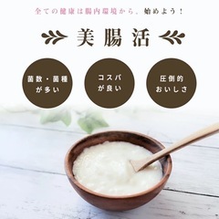 ◼️未開封 ケフィアヨーグルト 5包 の画像