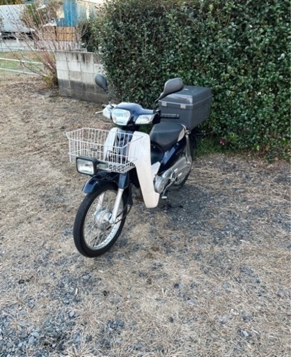 81.  スーパーカブ　AA04  原付　バイク　50cc   車体
