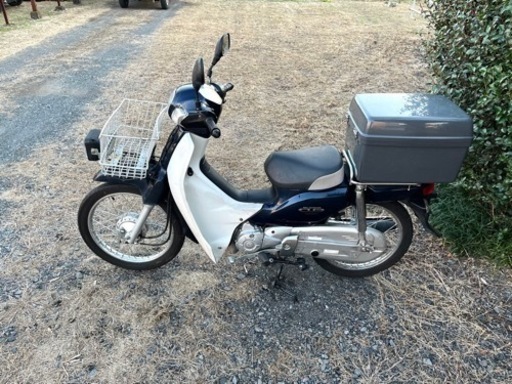 81.  スーパーカブ　AA04  原付　バイク　50cc   車体