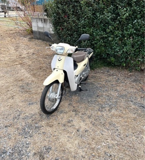 84.  スーパーカブ50  AA04  原付　バイク　50cc   車体
