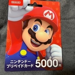 NINTENDO Switchのプリカ未使用品