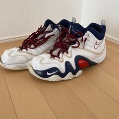 エアズームフライト5 NIKEiD