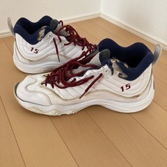 エアズームフライト5 NIKEiDの画像